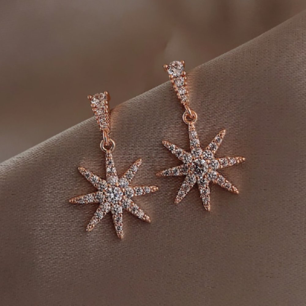 Women's fashion earrings